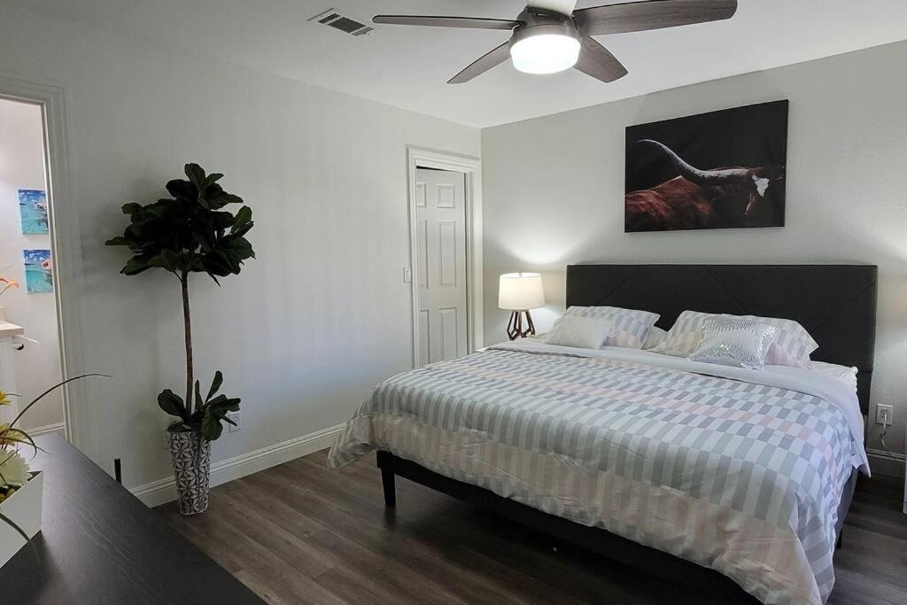 L - Fully Remodeled And Professionally Decorated Las Vegas Buitenkant foto